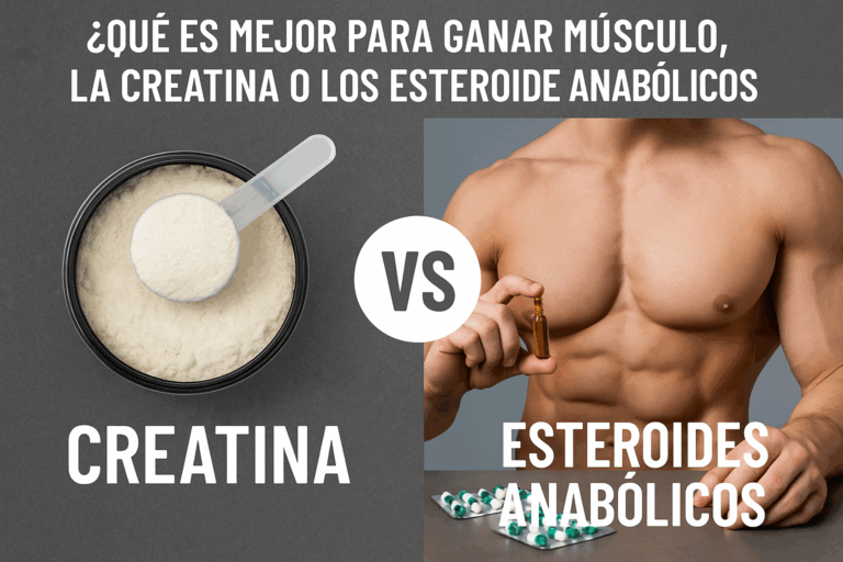 ¿Qué es mejor para ganar músculo, la creatina o los esteroides anabólicos?